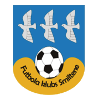 https://img.dianzhiliao.net/img/football/team/259a1106a33b56d2bb3c458a62ffa2ea.png