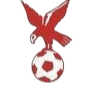 https://img.dianzhiliao.net/img/football/team/4802d26df935b78bb2fcdbbff36e8864.png