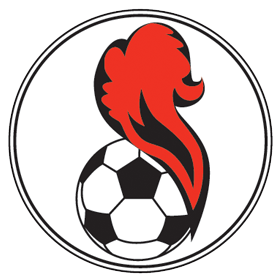 https://img.dianzhiliao.net/img/football/team/5541e5015258ae82b121480f4164267d.png