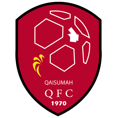 https://img.dianzhiliao.net/img/football/team/b155714d7a8b3230696693bba8181b6d.png