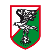 https://img.dianzhiliao.net/img/football/team/e6a8908dd206e2ea02d9803c82c60bba.png